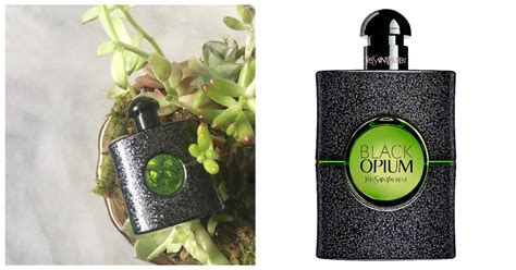 opium recensioni